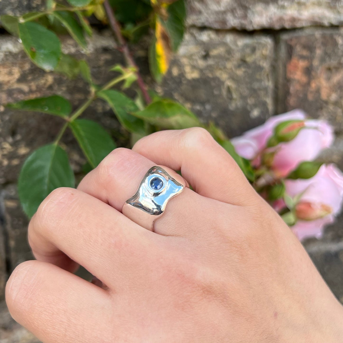 Signet ring kit